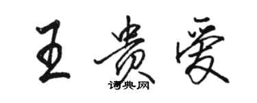 骆恒光王贵爱行书个性签名怎么写