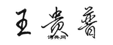 骆恒光王贵普行书个性签名怎么写