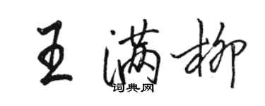 骆恒光王满柳行书个性签名怎么写