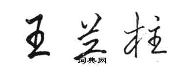 骆恒光王兰柱行书个性签名怎么写