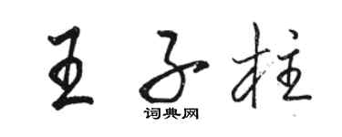 骆恒光王子柱行书个性签名怎么写