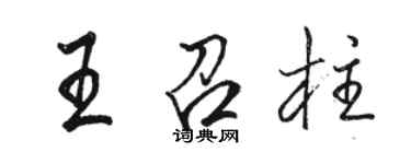 骆恒光王召柱行书个性签名怎么写