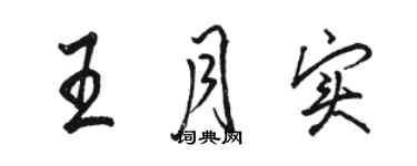 骆恒光王月实行书个性签名怎么写