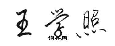 骆恒光王学照行书个性签名怎么写