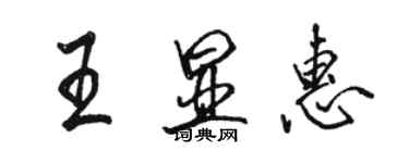 骆恒光王显惠行书个性签名怎么写