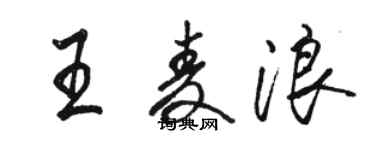 骆恒光王麦浪行书个性签名怎么写