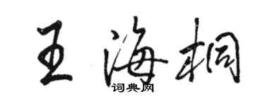 骆恒光王海桐行书个性签名怎么写