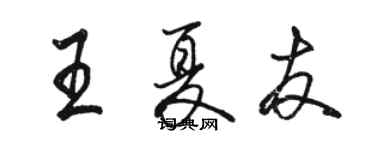 骆恒光王夏友行书个性签名怎么写