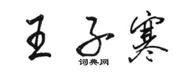 骆恒光王子寒行书个性签名怎么写