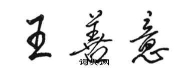 骆恒光王善意行书个性签名怎么写