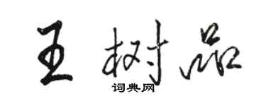 骆恒光王树品行书个性签名怎么写