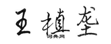 骆恒光王植垄行书个性签名怎么写