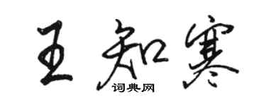 骆恒光王知寒行书个性签名怎么写