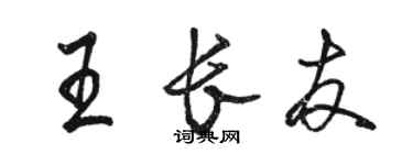 骆恒光王长友行书个性签名怎么写