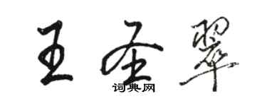 骆恒光王圣翠行书个性签名怎么写