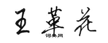 骆恒光王革花行书个性签名怎么写