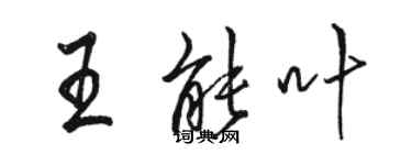 骆恒光王能叶行书个性签名怎么写