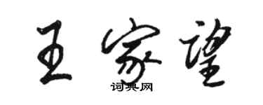 骆恒光王家望行书个性签名怎么写
