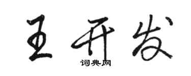 骆恒光王开发行书个性签名怎么写