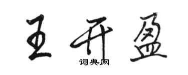 骆恒光王开盈行书个性签名怎么写