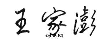 骆恒光王家澎行书个性签名怎么写
