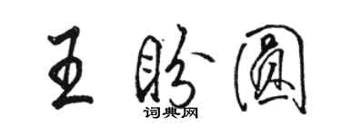 骆恒光王盼圆行书个性签名怎么写