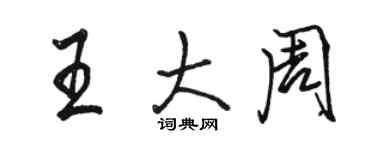 骆恒光王大周行书个性签名怎么写