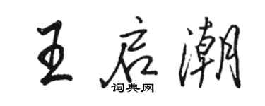 骆恒光王启潮行书个性签名怎么写