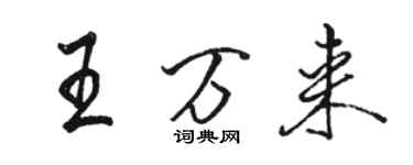 骆恒光王万来行书个性签名怎么写