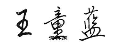 骆恒光王童蓝行书个性签名怎么写
