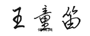 骆恒光王童笛行书个性签名怎么写