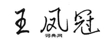骆恒光王凤冠行书个性签名怎么写