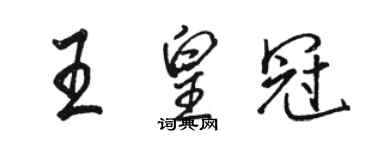 骆恒光王皇冠行书个性签名怎么写