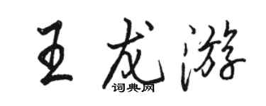 骆恒光王龙游行书个性签名怎么写