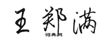 骆恒光王郑满行书个性签名怎么写