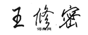 骆恒光王修密行书个性签名怎么写