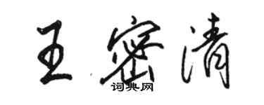 骆恒光王密清行书个性签名怎么写