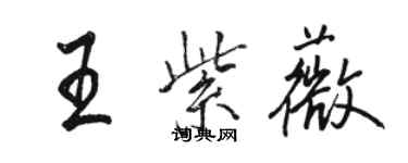 骆恒光王紫薇行书个性签名怎么写