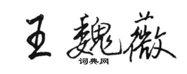 骆恒光王魏薇行书个性签名怎么写