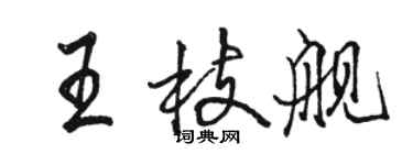 骆恒光王枝舰行书个性签名怎么写