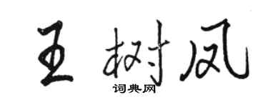 骆恒光王树凤行书个性签名怎么写