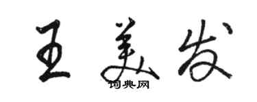 骆恒光王美发行书个性签名怎么写