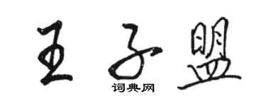 骆恒光王子盟行书个性签名怎么写