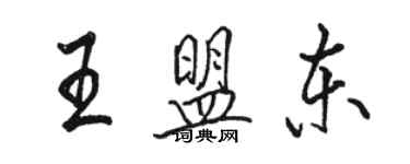 骆恒光王盟东行书个性签名怎么写