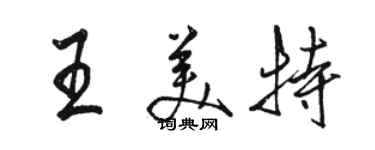 骆恒光王美特行书个性签名怎么写