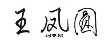骆恒光王凤圆行书个性签名怎么写