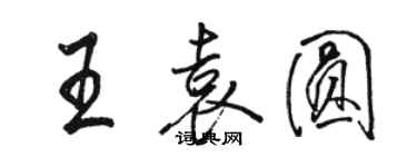 骆恒光王袁圆行书个性签名怎么写