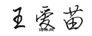 骆恒光王爱苗行书个性签名怎么写