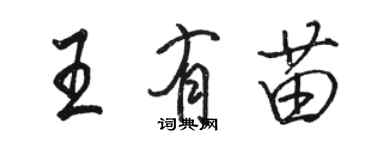 骆恒光王有苗行书个性签名怎么写