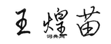 骆恒光王煌苗行书个性签名怎么写